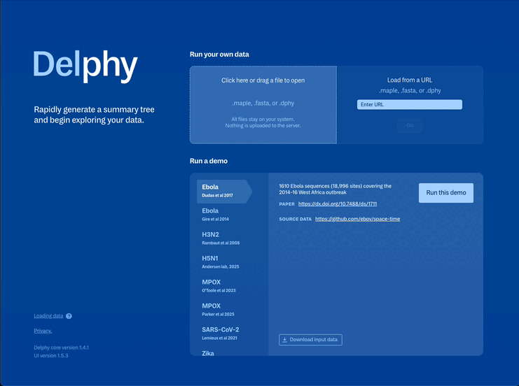 A looping video of Delphy. It opens on the loading screen, a blue field with white text. The user clicks a button corresponding to one of the demo files, and then clicks a button labelled 'Run this demo'. The background color changes from blue to white, and 'Trees' tab (described above) is displayed. The mouse moves to the 'Click to start' button at the top and clicks it. The trace charts update as described above. Additionally, the phylogenetic tree also changes shape with each new sample. Whereas the overall shape of the initial tree mostly stuck to the top and right side of the diagram, it fills up more of the space and many of the vertical bars that connect branches get longer. At first the shape grows dramatically, but it soon calms down: it jiggles a bit but remains mostly stable. In the upper right, the 'Minimum effective sample size' number grows from 0 up to about 26, but it pops up and down a bit along the way. The status label goes from 'No data' to 'Converging' to 'Stable' as well.